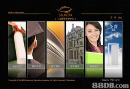 全方位專業(yè)設(shè)計(jì)服務(wù) 賦能品牌，構(gòu)建卓越數(shù)字形象